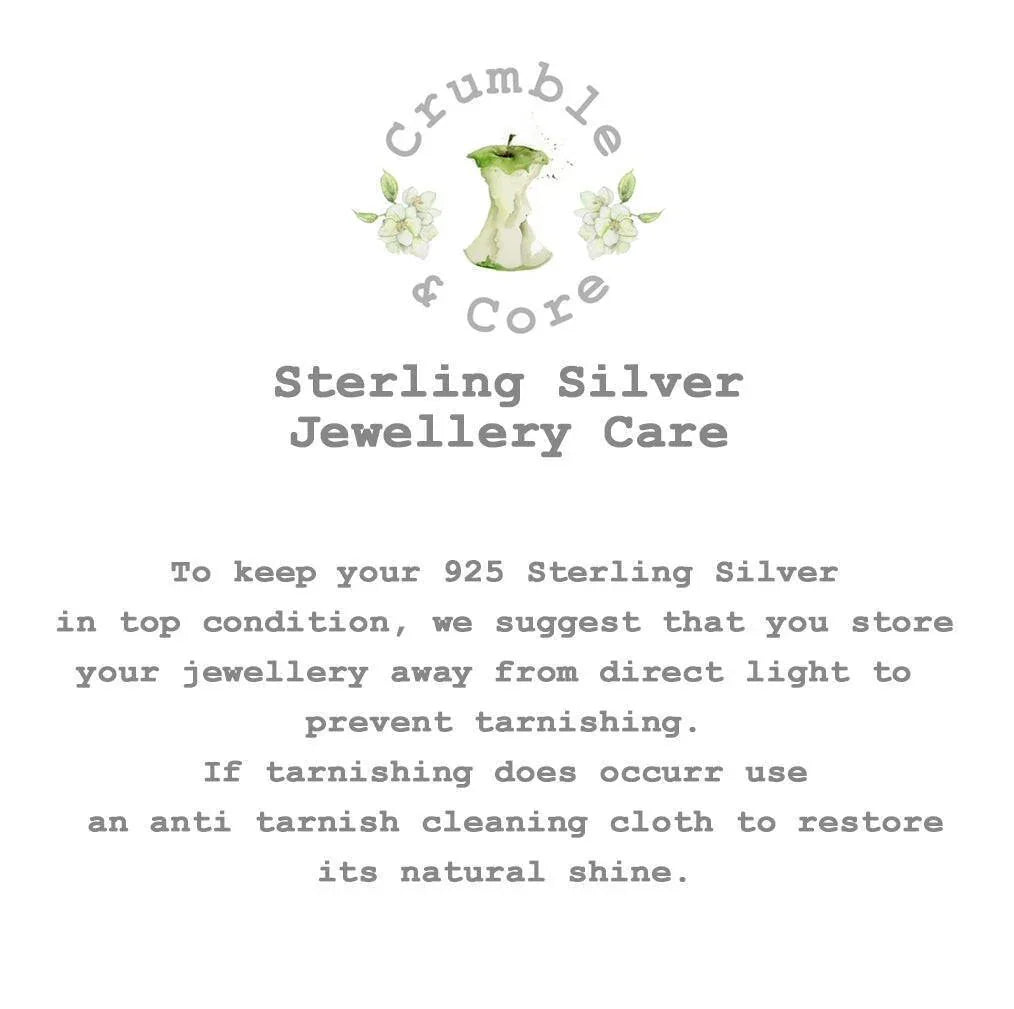 Crumble and Core sterling silver jewellery care guide with apple core logo and care tips text.