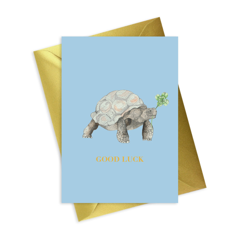 Animal Collection A6 Foiled Greeting Card Tortoise Good Luck Greeting & Note Cards Crumble and Core   