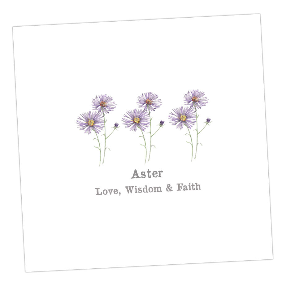 Aster Card Greeting & Note Cards Crumble and Core   