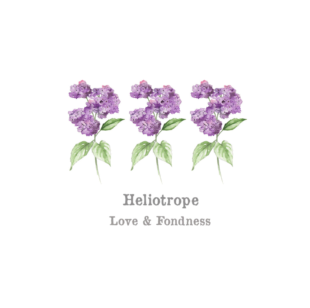 Heliotrope Card