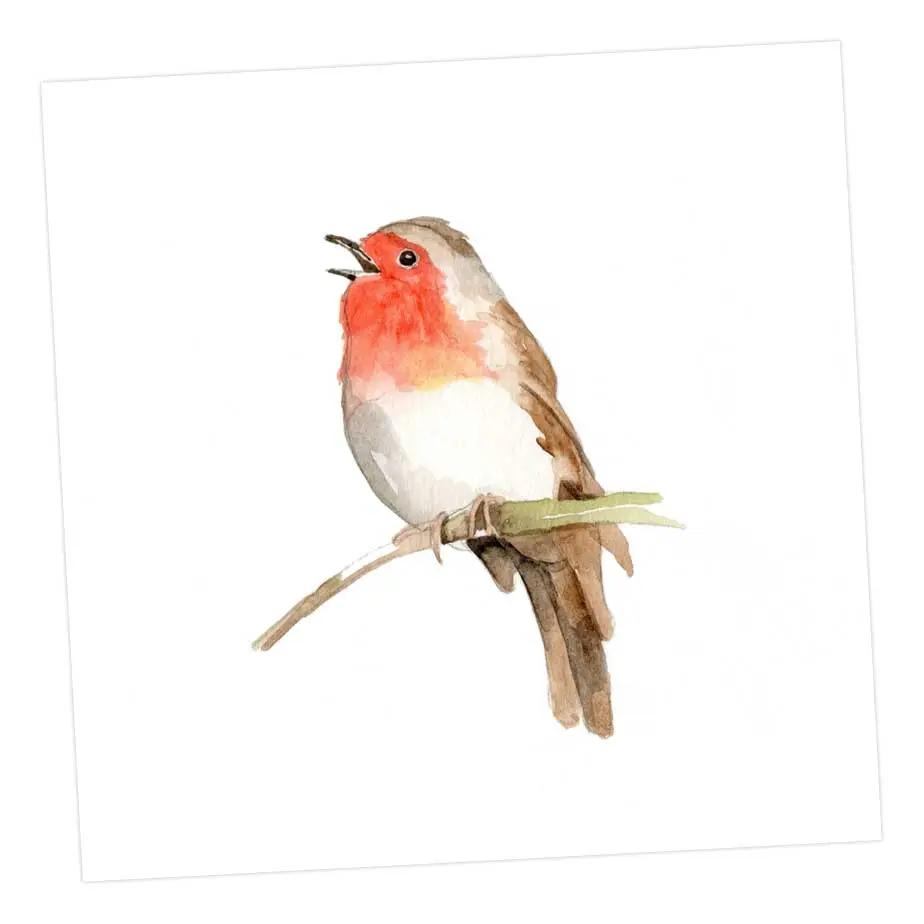 The Robin Card Greeting & Note Cards Crumble and Core   