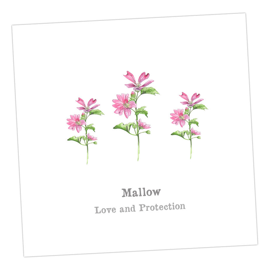 Mallow Card Greeting & Note Cards Crumble and Core   