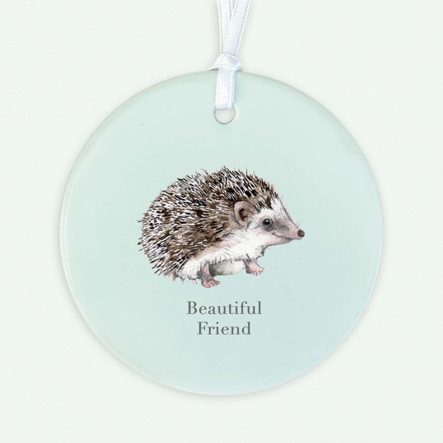 A6 Greeting Card with Ceramic Keepsake - Hedgehog Beautiful Friend Greeting & Note Cards Crumble and Core   