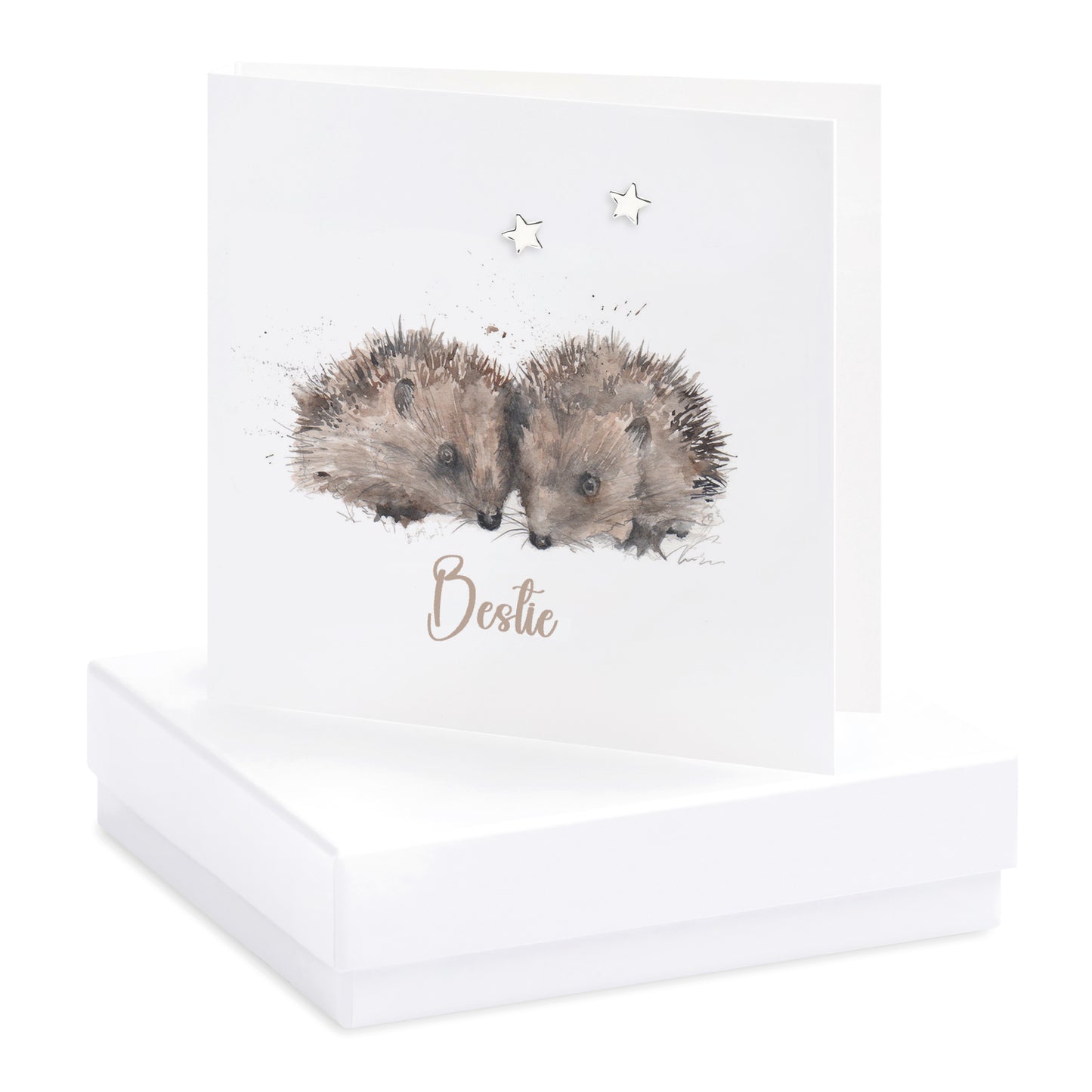 Tarjeta de pendiente en caja Erizos Bestie