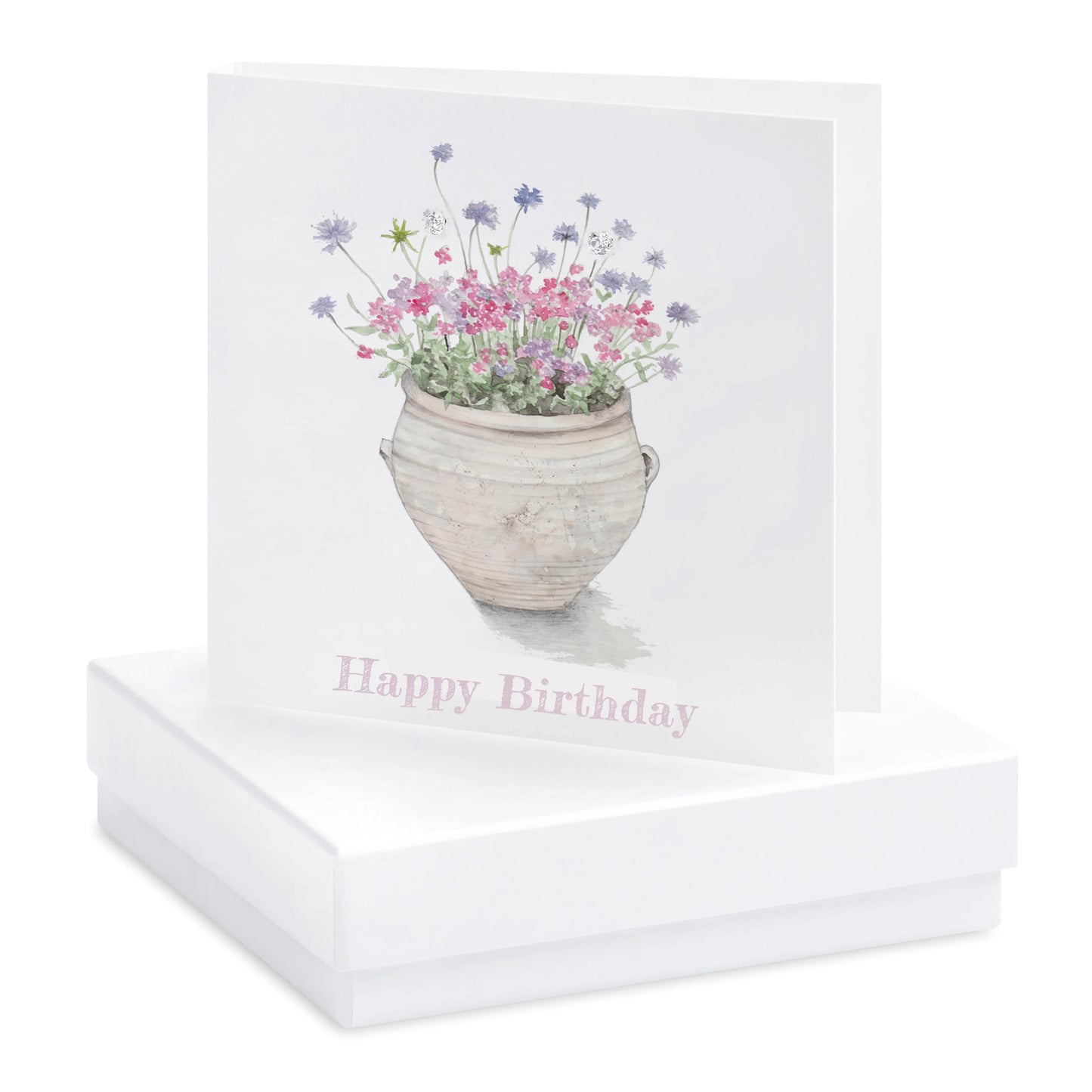 Happy Birthday card with potted flowers illustration, boxed for gifting