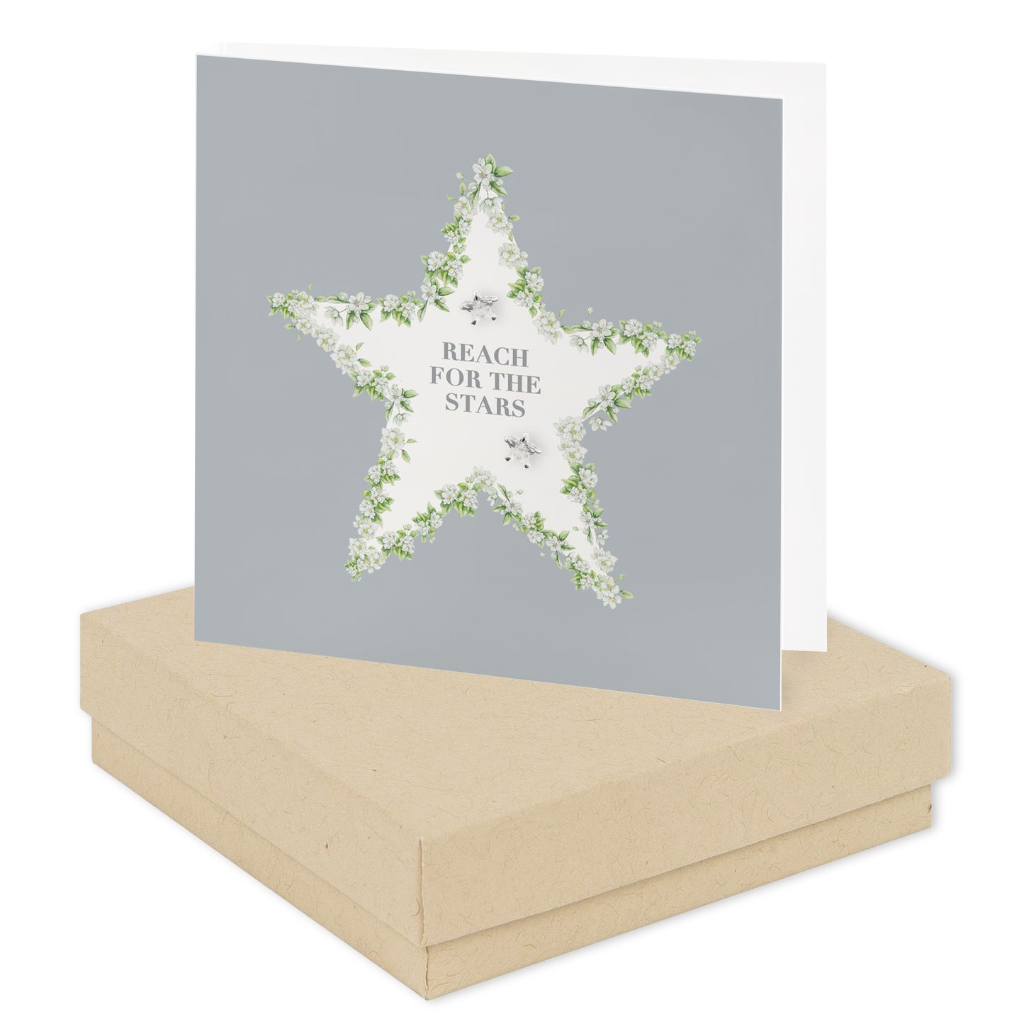 Vintage Sentiments Boxed Silver Earring Card Reach For The Stars Earrings Crumble and Core Kraft  