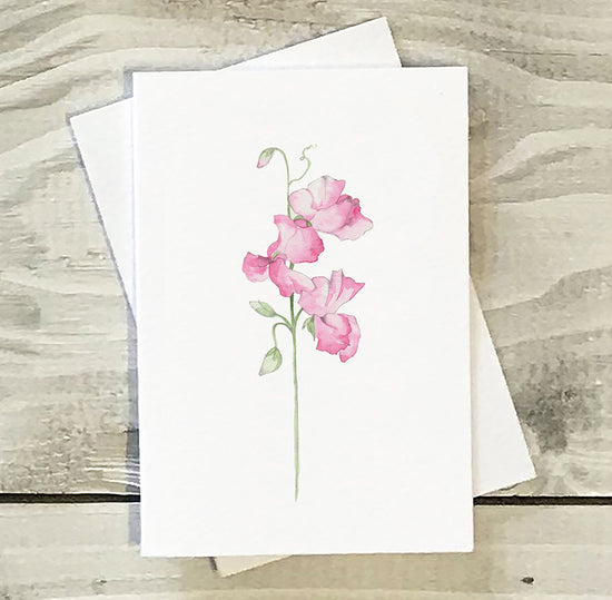 Mini Greeting Card -Sweet Pea Greeting & Note Cards Crumble and Core   