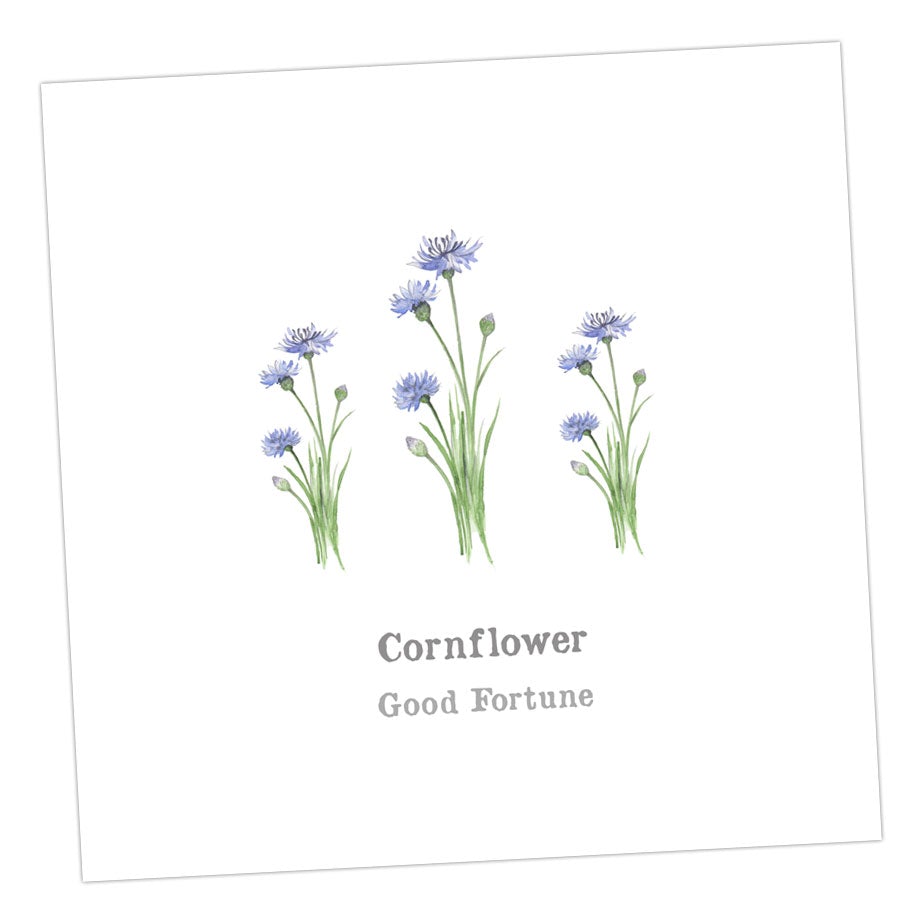 Cornflower Card Greeting & Note Cards Crumble and Core   