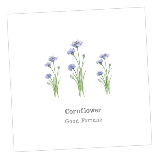 Cornflower Card Greeting & Note Cards Crumble and Core   