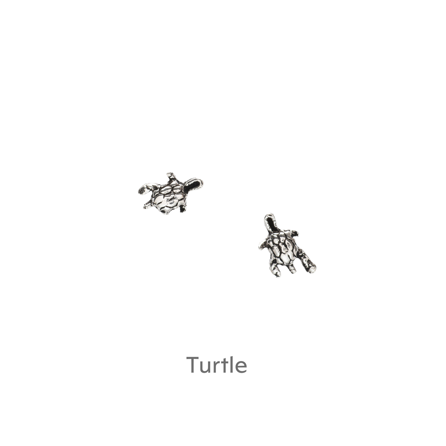 Pawsome Dogs Silver Earring Card Earrings Crumble and Core   