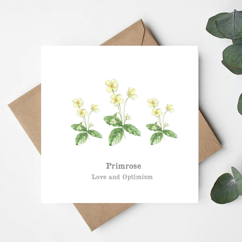 Primrose Card Greeting & Note Cards Crumble and Core   