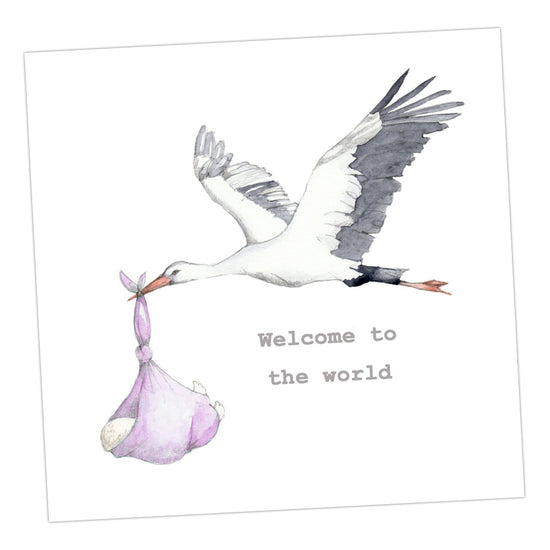 Stork New Baby Girl Greeting & Note Cards Crumble and Core 15 x 15 cm  
