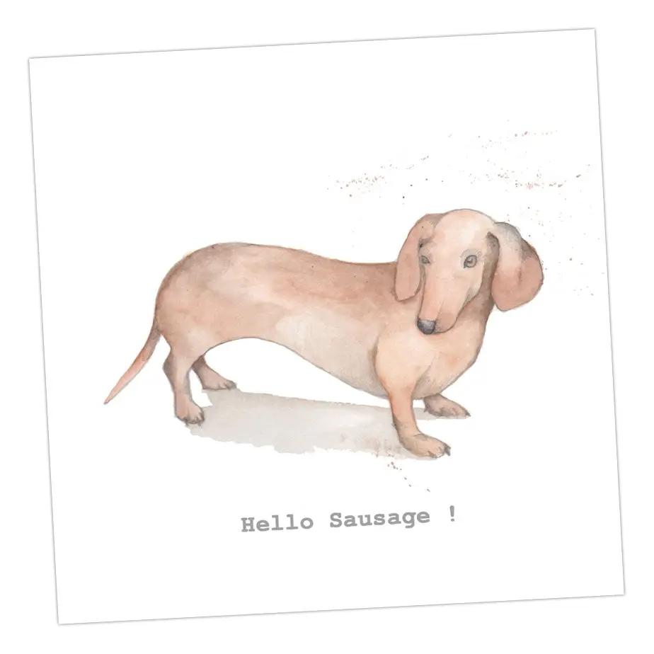 Sausage Dog Card Greeting & Note Cards Crumble and Core 12 x 12 cm  