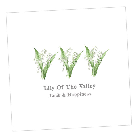 Lily of the Valley Card Greeting & Note Cards Crumble and Core 12 x 12 cm  