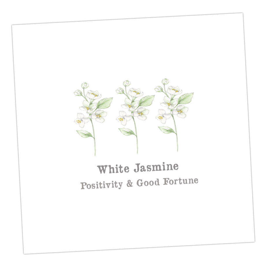 White Jasmine Card Greeting & Note Cards Crumble and Core 12 x 12 cm  