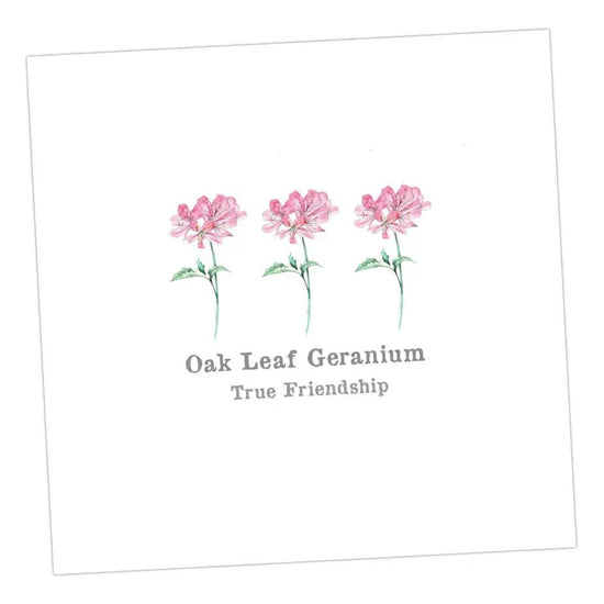 Oak Leaf Geranium Card Greeting & Note Cards Crumble and Core 12 x 12 cm  