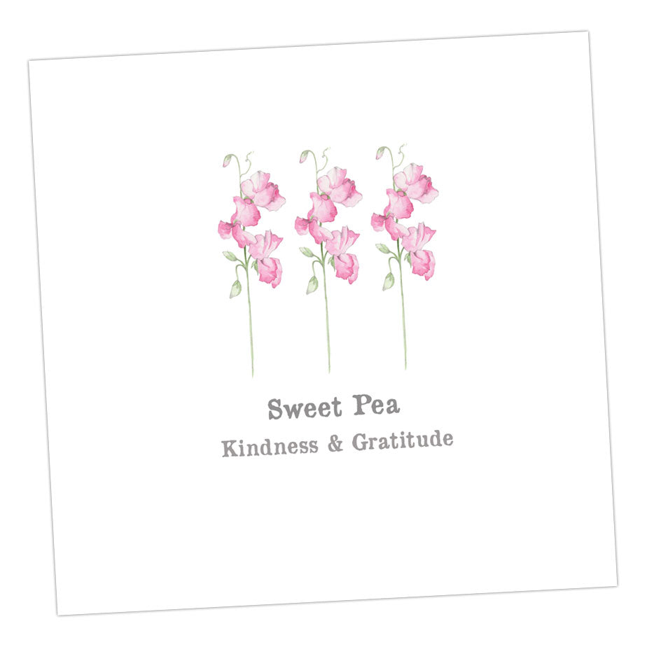 Sweet Pea Card Greeting & Note Cards Crumble and Core 12 x 12 cm  
