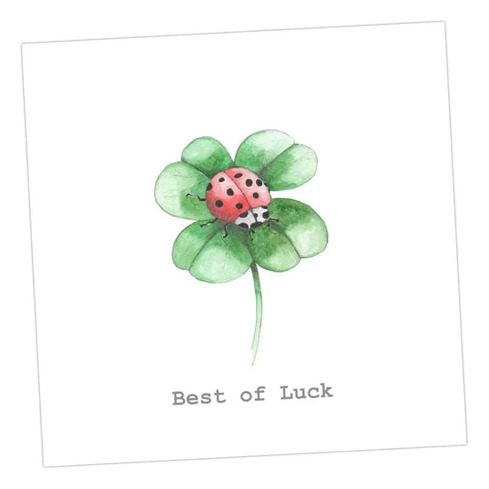 Ladybird Good Luck Card Greeting & Note Cards Crumble and Core 12 x 12 cm  
