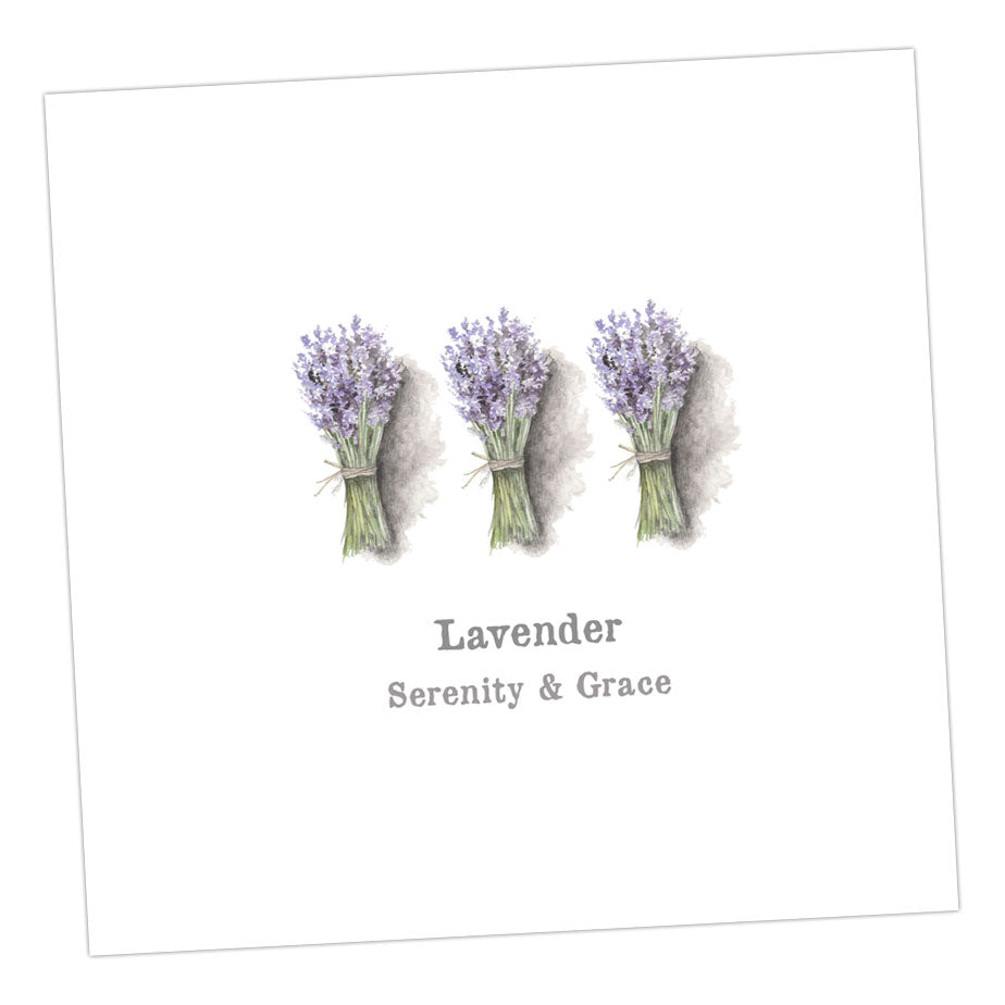 Lavender Card Greeting & Note Cards Crumble and Core 12 x 12 cm  