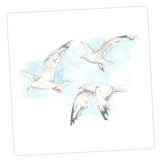 Seagulls Card Greeting & Note Cards Crumble and Core 12 x 12 cm  
