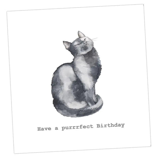 Have a Purrfect Birthday Cat Card Greeting & Note Cards Crumble and Core 12 x 12 cm  