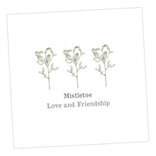 Load image into Gallery viewer, Christmas Mistletoe Card Greeting &amp; Note Cards Crumble and Core 12 x 12 cm  
