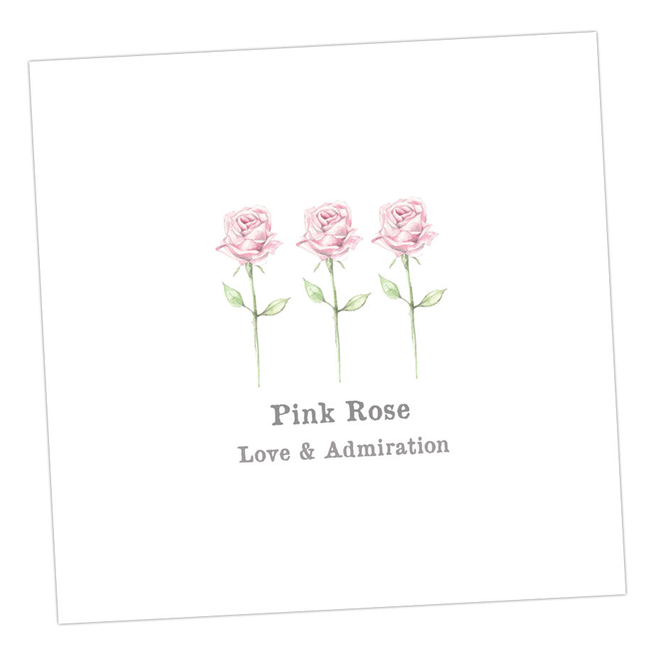 Pink Rose Card Greeting & Note Cards Crumble and Core 12 x 12 cm  