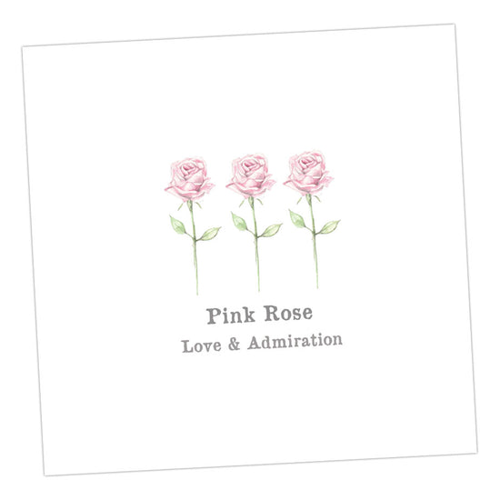 Pink Rose Card Greeting & Note Cards Crumble and Core 12 x 12 cm  