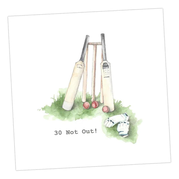Cricket 30 Not Out Card