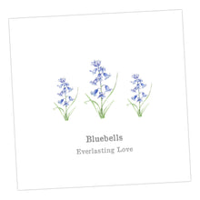 Load image into Gallery viewer, Bluebells Card Greeting &amp; Note Cards Crumble and Core   
