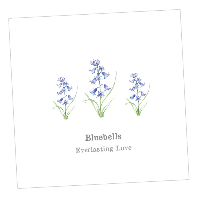 Bluebells Card Greeting & Note Cards Crumble and Core   