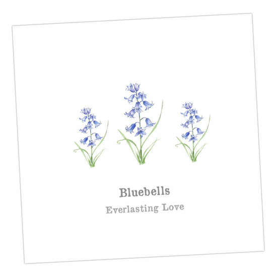 Bluebells Card Greeting & Note Cards Crumble and Core   