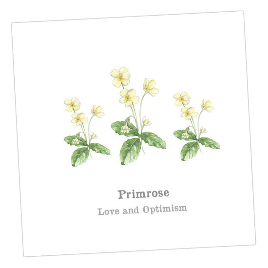 Primrose Card Greeting & Note Cards Crumble and Core   