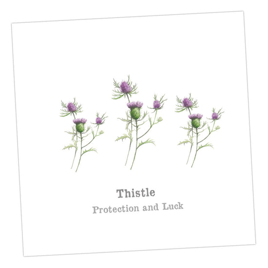 Thistle Card Greeting & Note Cards Crumble and Core   