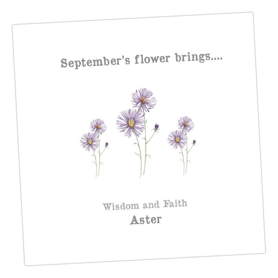 September Aster Card Greeting & Note Cards Crumble and Core   