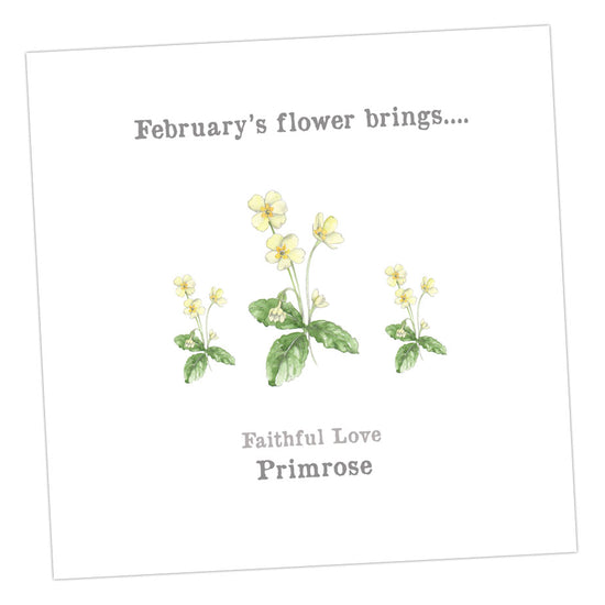 February Primrose Card 12 x 12 cm Card Greeting & Note Cards Crumble and Core   