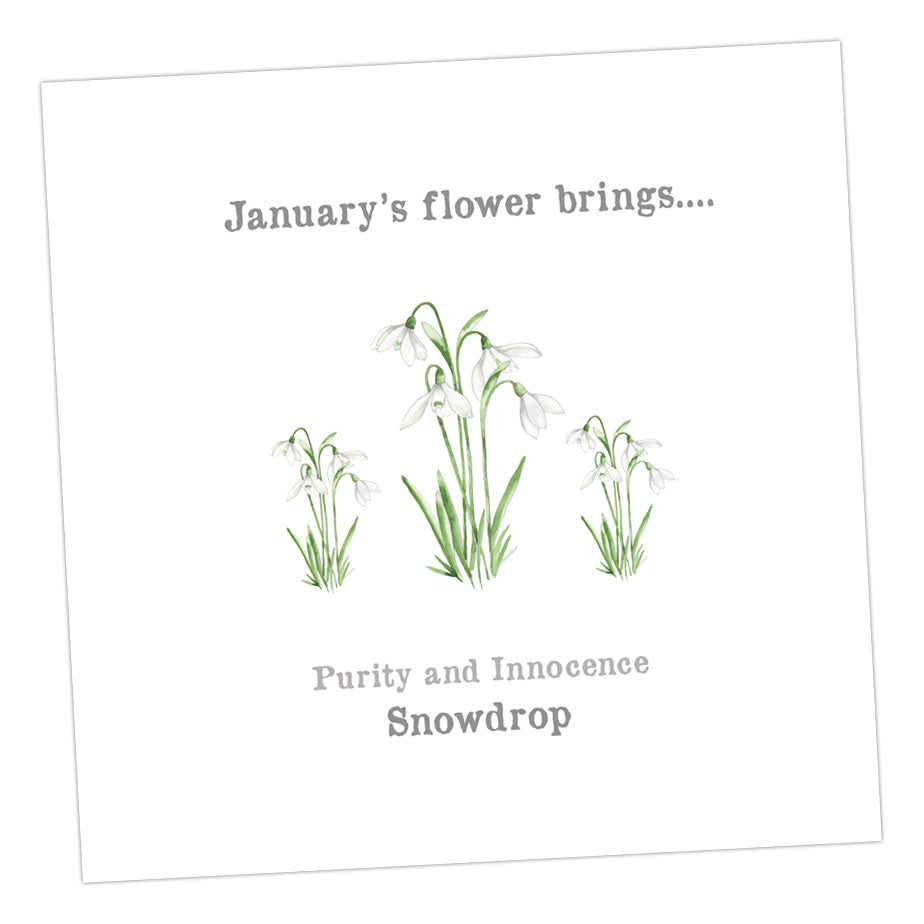 January Snowdrop Card 12 x 12 cm Card Greeting & Note Cards Crumble and Core   