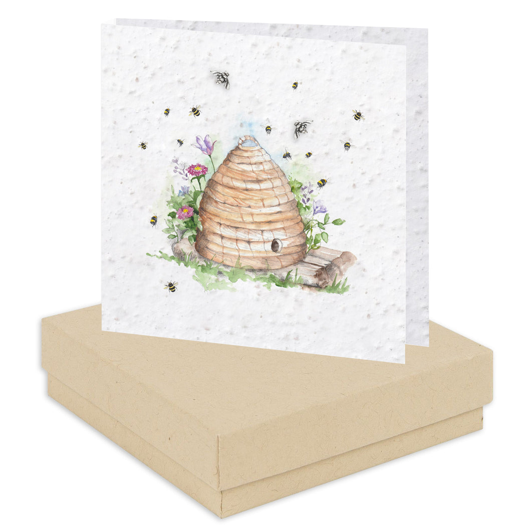 Boxed Beehive Plantable Seed Earring Card Earrings Crumble and Core   